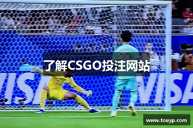 了解CSGO投注网站